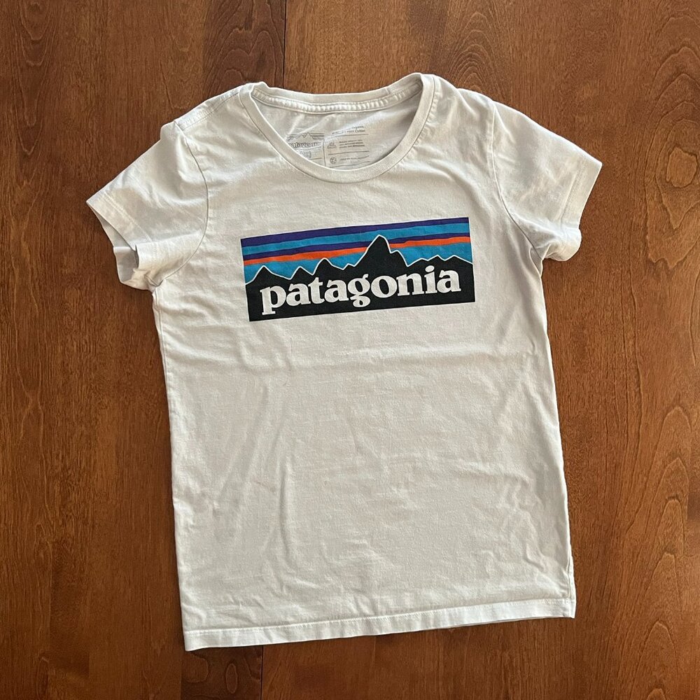 Patagonia organic Fitz Roy tee L 12